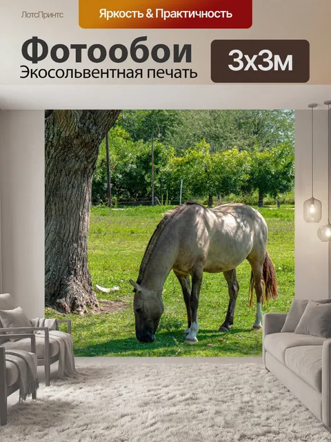 Фотообои Лошадь