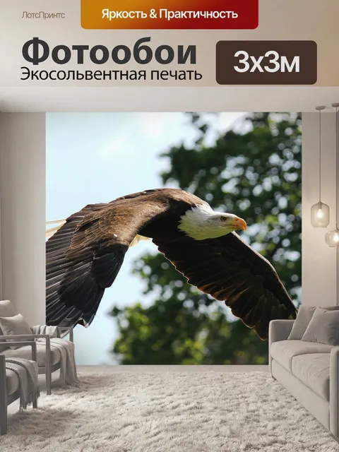 Фотообои Орел