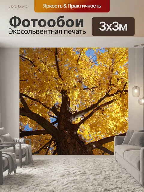Фотообои Глядя на дерево 1