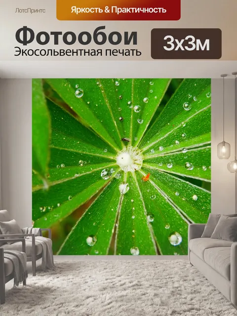 Фотообои Люпин