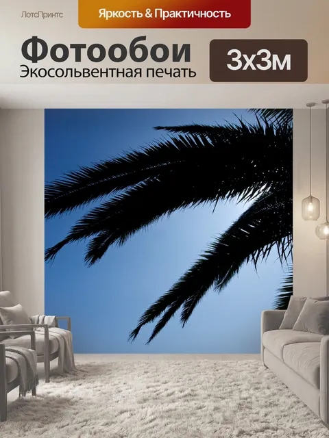 Фотообои Пальмовая ветвь Силуэты