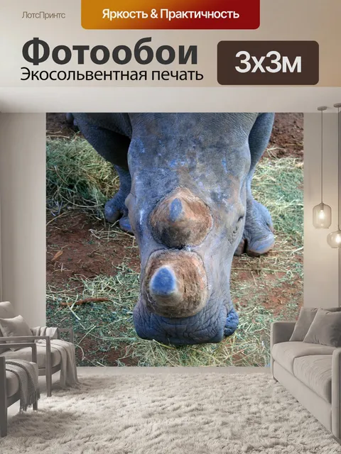 Фотообои рог пни белого носорога