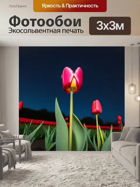 Фотообои тюльпан грация вечером под звездами