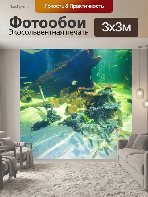 Фотообои Кораблекрушение и коралловый риф