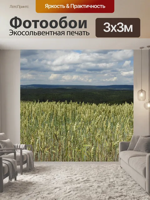 Фотообои Кукурузное поле