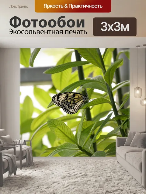 Фотообои Бабочки 2,4