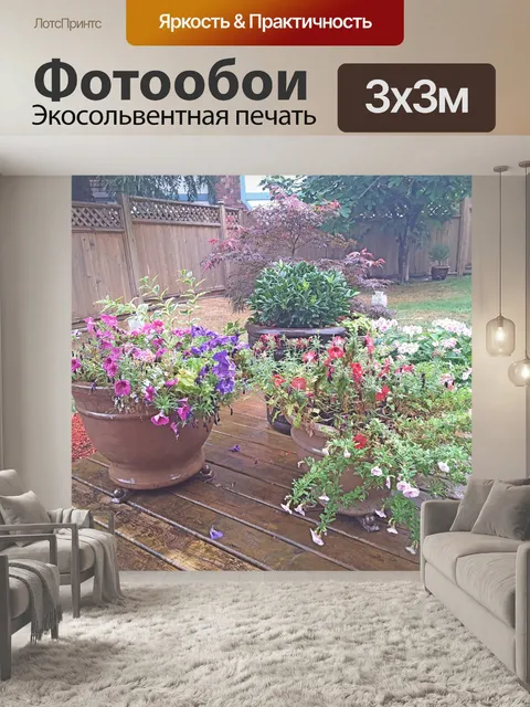 Фотообои красивые цветы