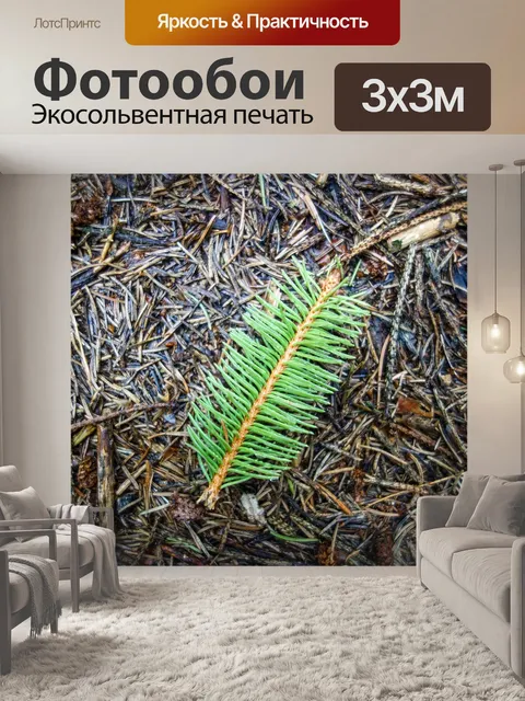 Фотообои Еловая ветка