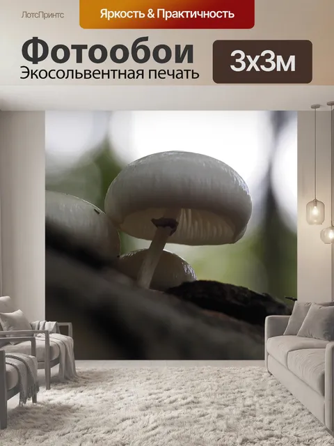 Фотообои Природа