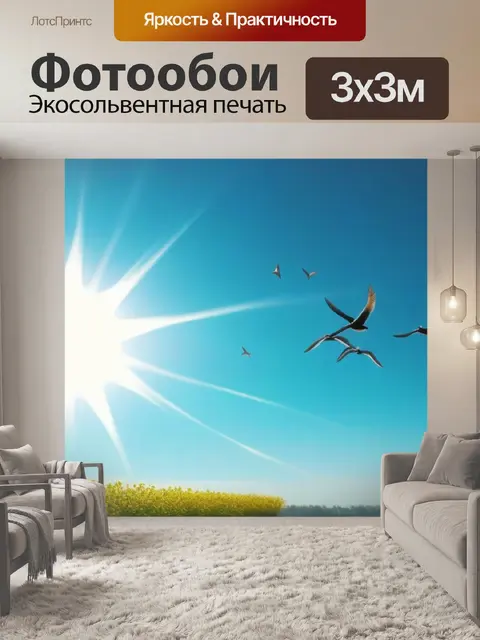 Фотообои птицы, летающие под ярким солнцем