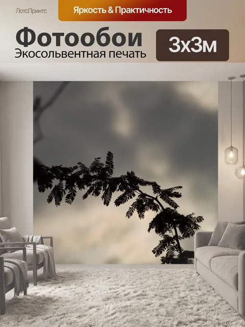 Фотообои Сезон дождей