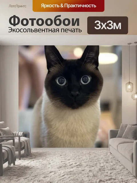 Фотообои Сиамский