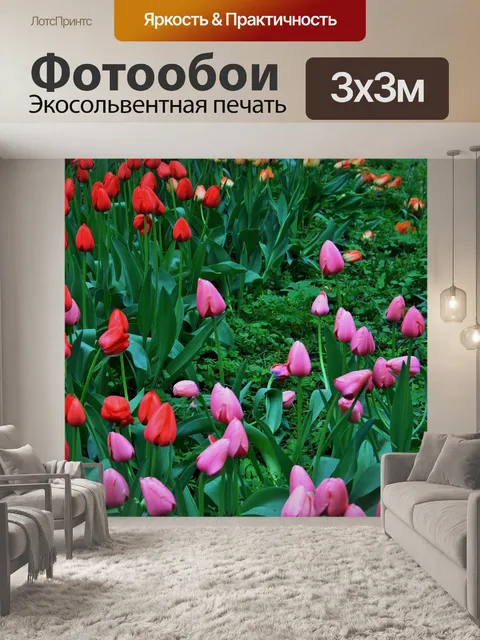 Фотообои тюльпаны, ботанические сады, москва