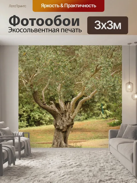 Фотообои Дерево