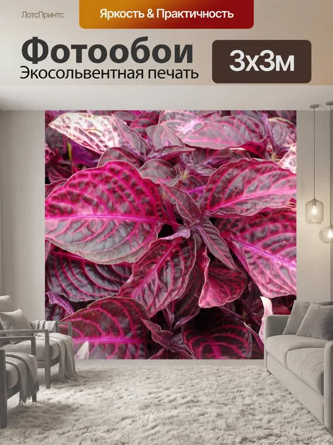 Фотообои Iresine Bloodleaf завод