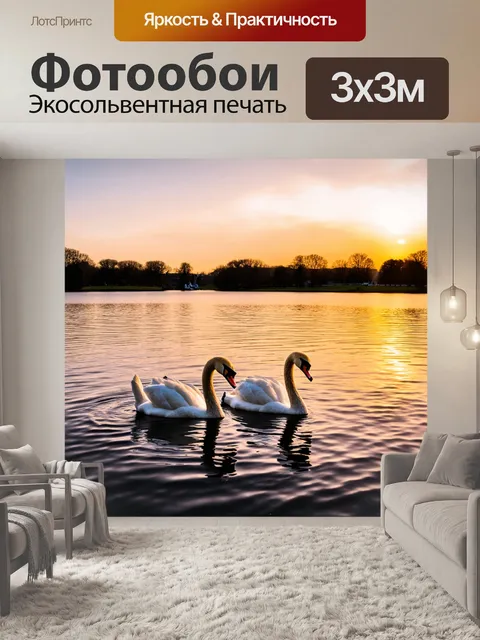 Фотообои озеро с лебедями: идеальный романтический момент на фоне заката