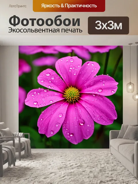 Фотообои розовый цветок на крупном плане