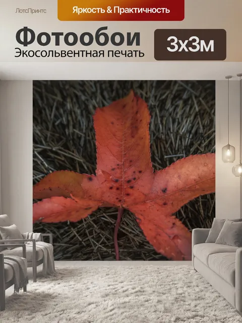 Фотообои Лист