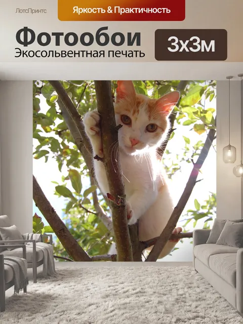 Фотообои Кошки