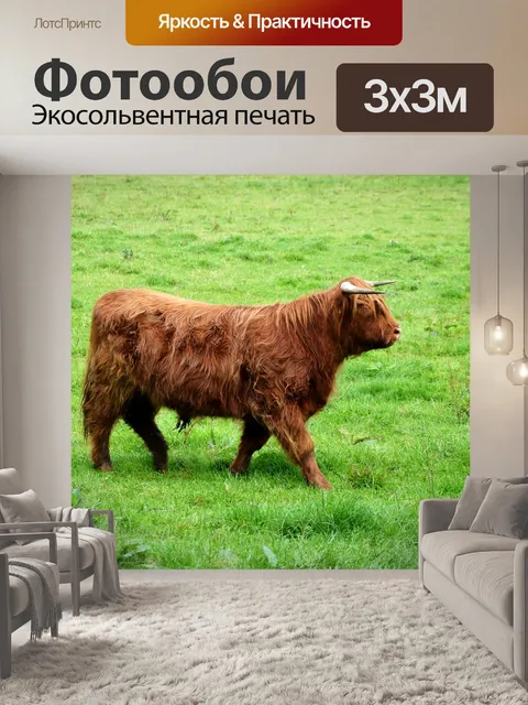 Фотообои Горный скот
