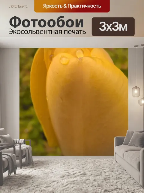 Фотообои Тюльпан