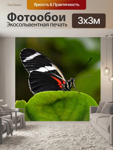 Фотообои Бабочка