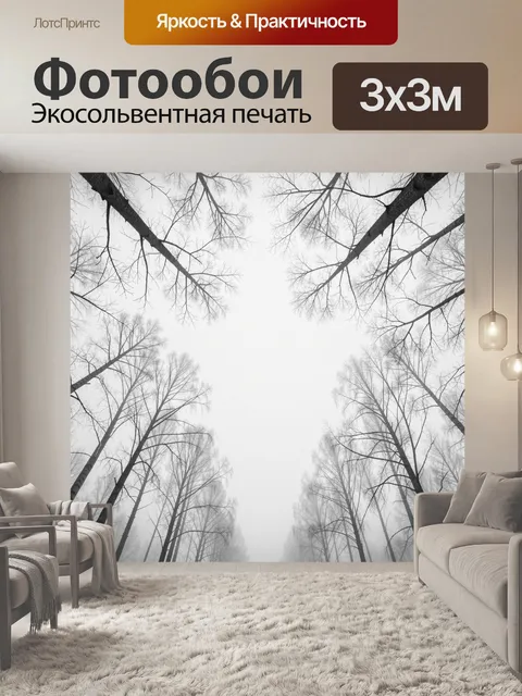 Фотообои Зимний лес в тумане