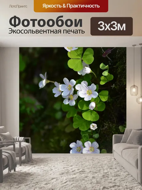 Фотообои Цветы