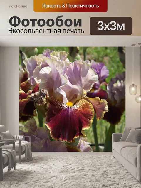 Фотообои Ирис