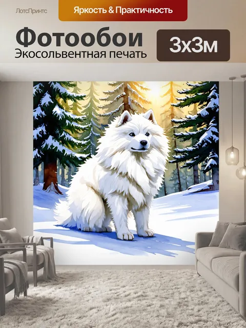 Фотообои белый самоед на фоне зимнего леса, его пушистая шерсть переливается на солнце