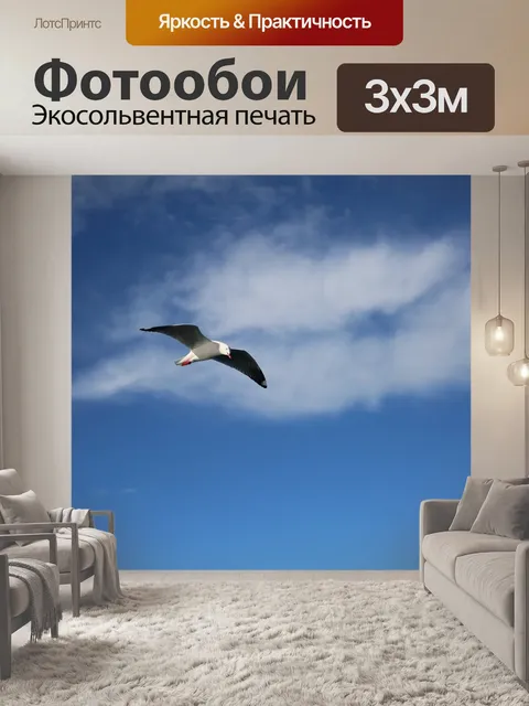 Фотообои Морская птица
