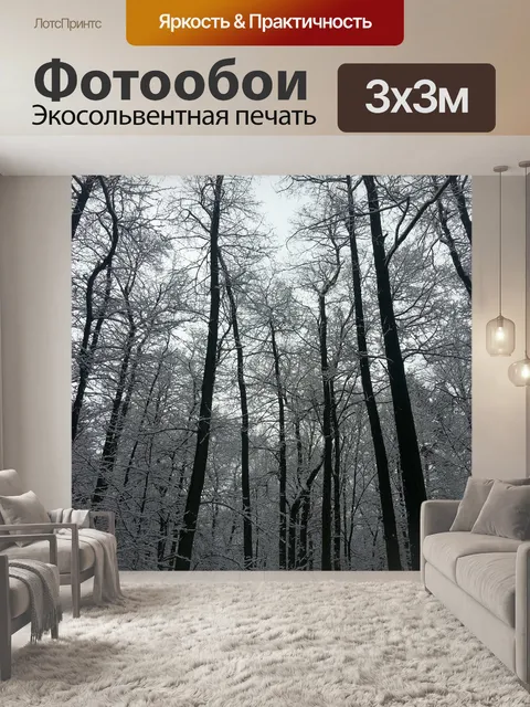 Фотообои Зима