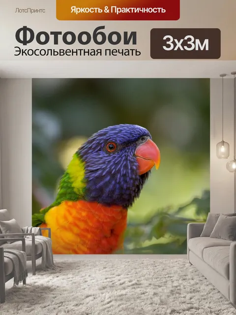 Фотообои Парк птиц