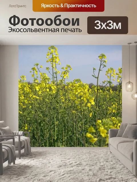 Фотообои Рапса