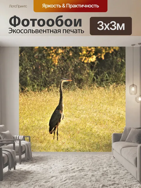 Фотообои Большая голубая цапля в траве