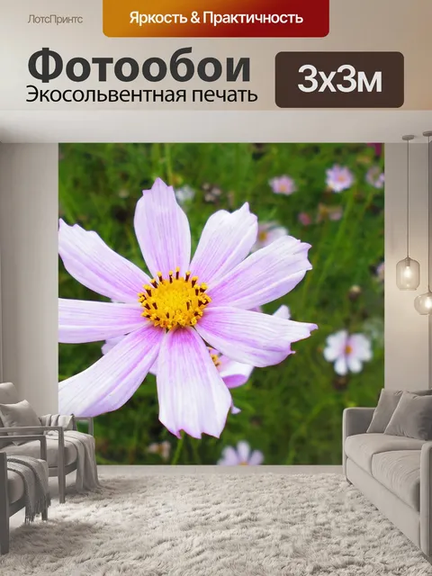 Фотообои Деревня