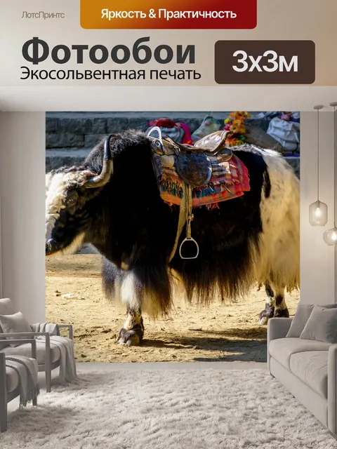 Фотообои Манали