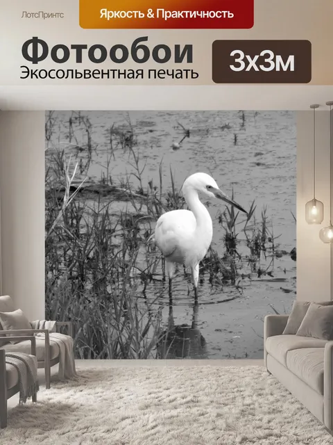 Фотообои Белая цапля в болоте # 2