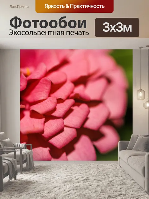 Фотообои красочный цветок макро выстрел