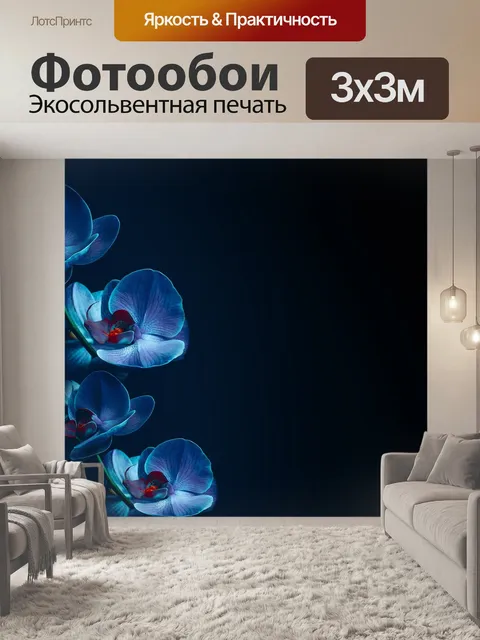 Фотообои Орхидеи