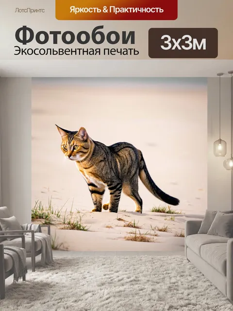 Фотообои кошка на пляже, шагающая по песку