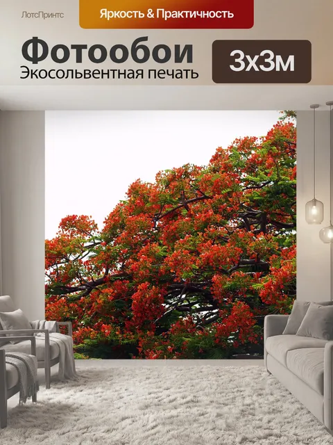 Фотообои Дерево