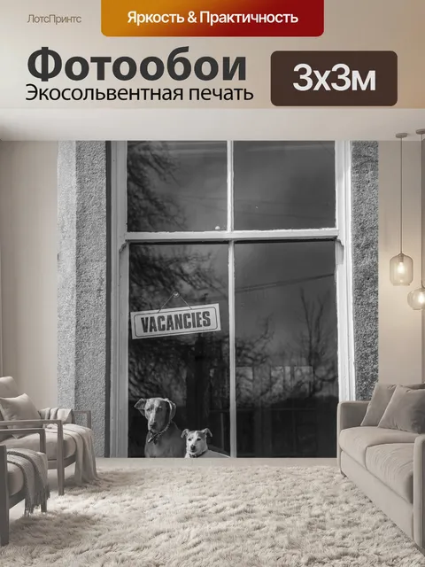 Фотообои Окно