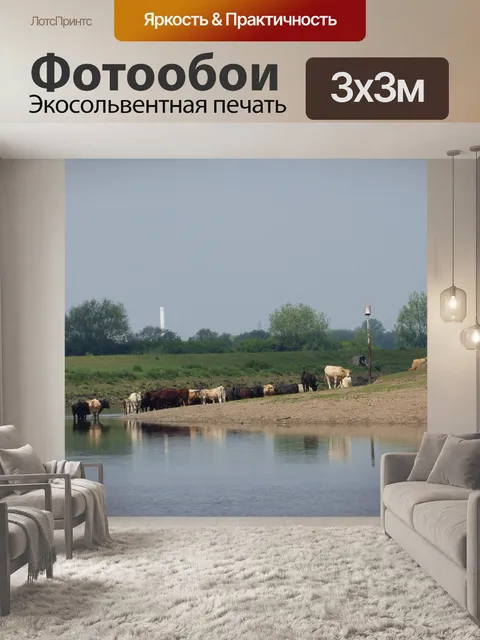 Фотообои Коровы