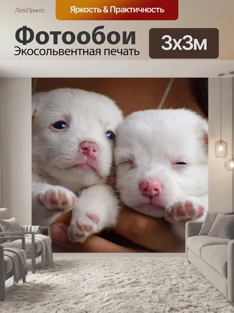 Фотообои Щенки