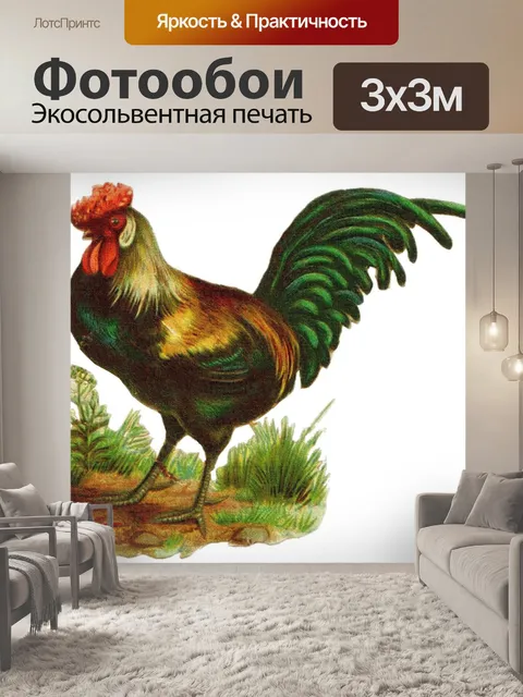 Фотообои Петух