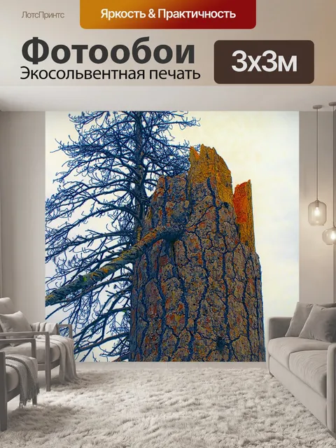 Фотообои Tall Tree Trunk