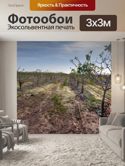 Фотообои Дерево-роща