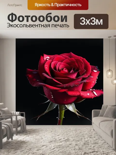 Фотообои кровавая роза на черном фоне