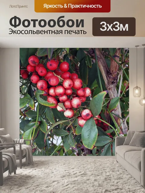 Фотообои ягоды